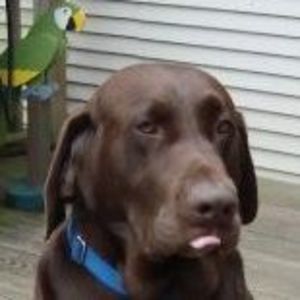 Meet your Posher, Scott